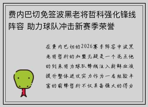 费内巴切免签波黑老将哲科强化锋线阵容 助力球队冲击新赛季荣誉 费内巴切免签波黑老将哲科强化锋线阵容 助力球队冲击新赛季荣誉